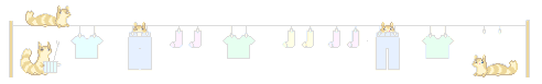 1473155115911030369.png 分割线.png