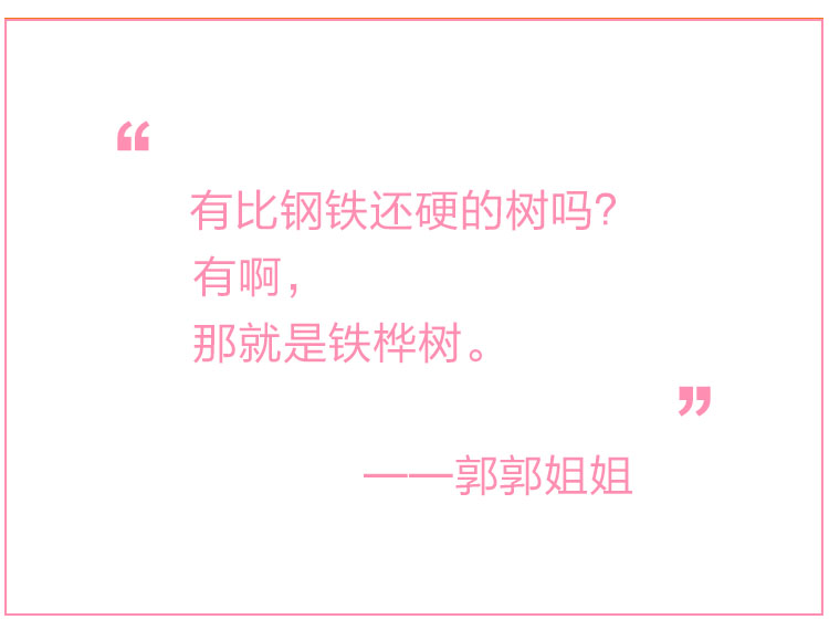 1474183080629042643.jpg 郭郭姐姐 《趣味科学童话——有比钢铁还硬的树吗?》.jpg
