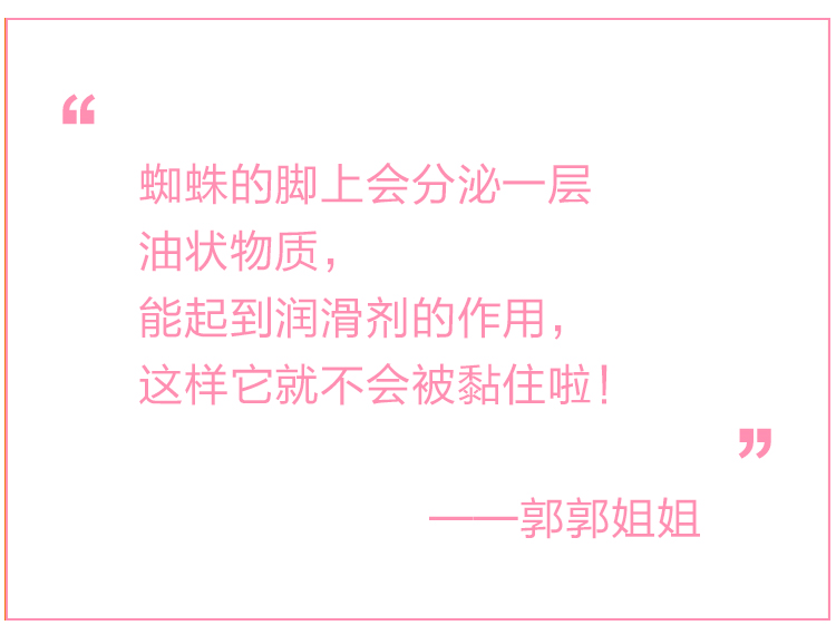 1476885628474082631.jpg 郭郭姐姐 《蜘蛛不会被自己的网黏住吗?》.jpg