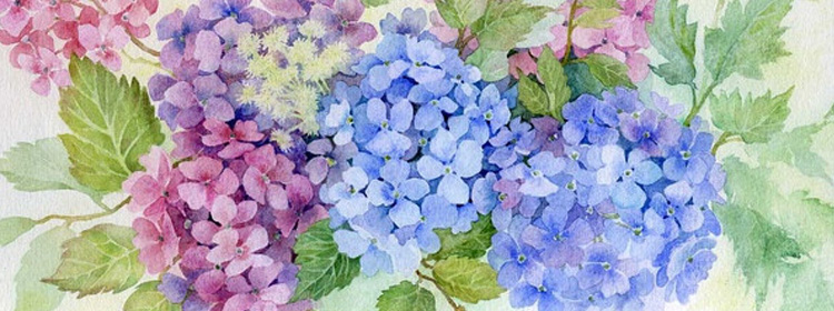 有可以变换颜色的花吗？.jpg