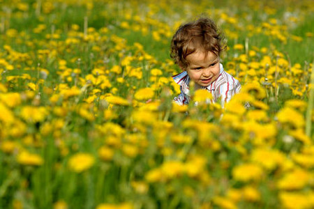 CV6H-fyeiwny3081835.jpg