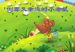 倒霉又幸运的小老鼠