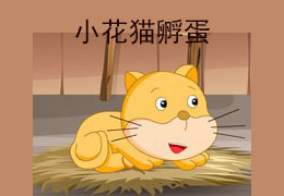 小花猫孵蛋