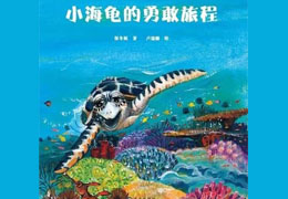 小海龟的勇敢旅程