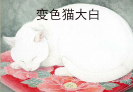 变色猫大白