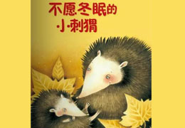 不愿冬眠的小刺猬