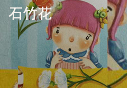 石竹花