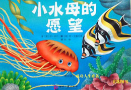 小水母的愿望