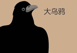 大乌鸦