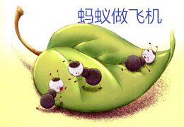 蚂蚁做飞机