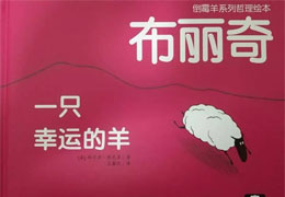 布丽奇，一只幸运的羊