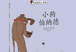 小狗伯纳德