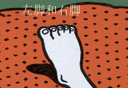 左脚和右脚