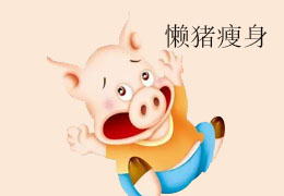 懒猪瘦身