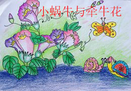小蜗牛与牵牛花