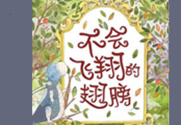 不会飞的翅膀