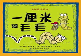 一厘米的毛毛