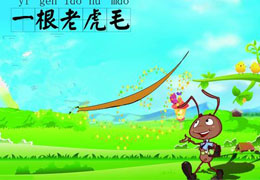 一根老虎毛